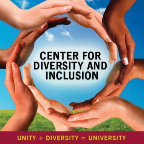 CDI Programming - African American Student Leadership Experience (AASLE)