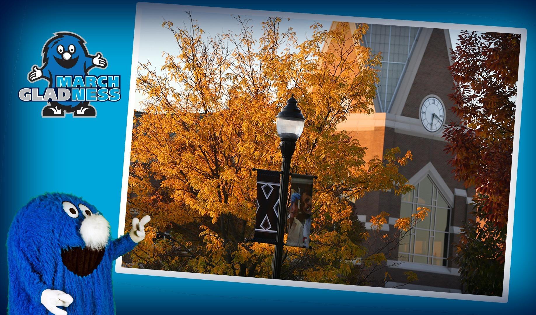 The Store Xavier Campus Food Pantry 2021 Xavier March Gladness