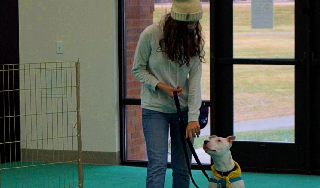 Canine Training Equipment 2022 Carroll College Giving Day