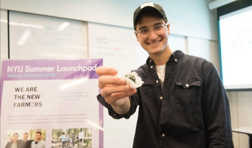 Nyu Simons Summer Program Summer Launchpad Program - NYU One Day