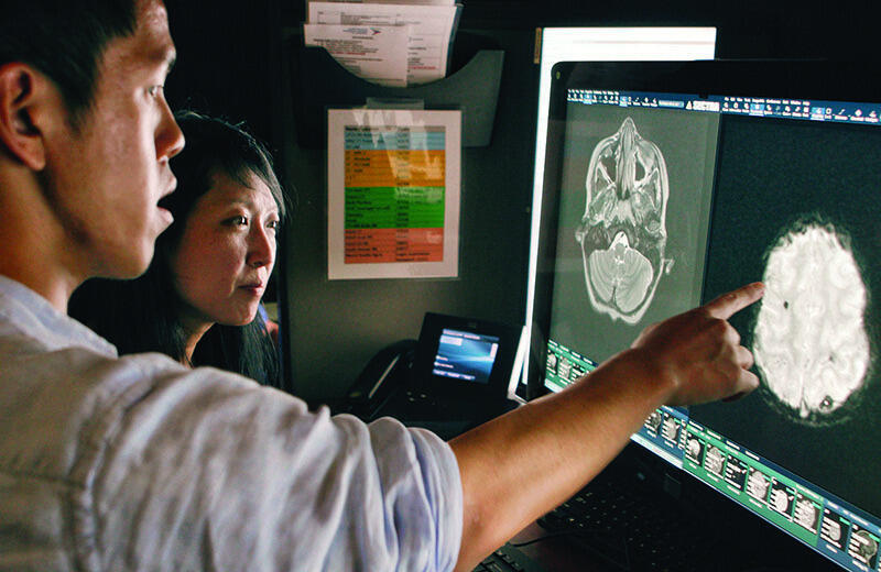 Researchers review brain scans