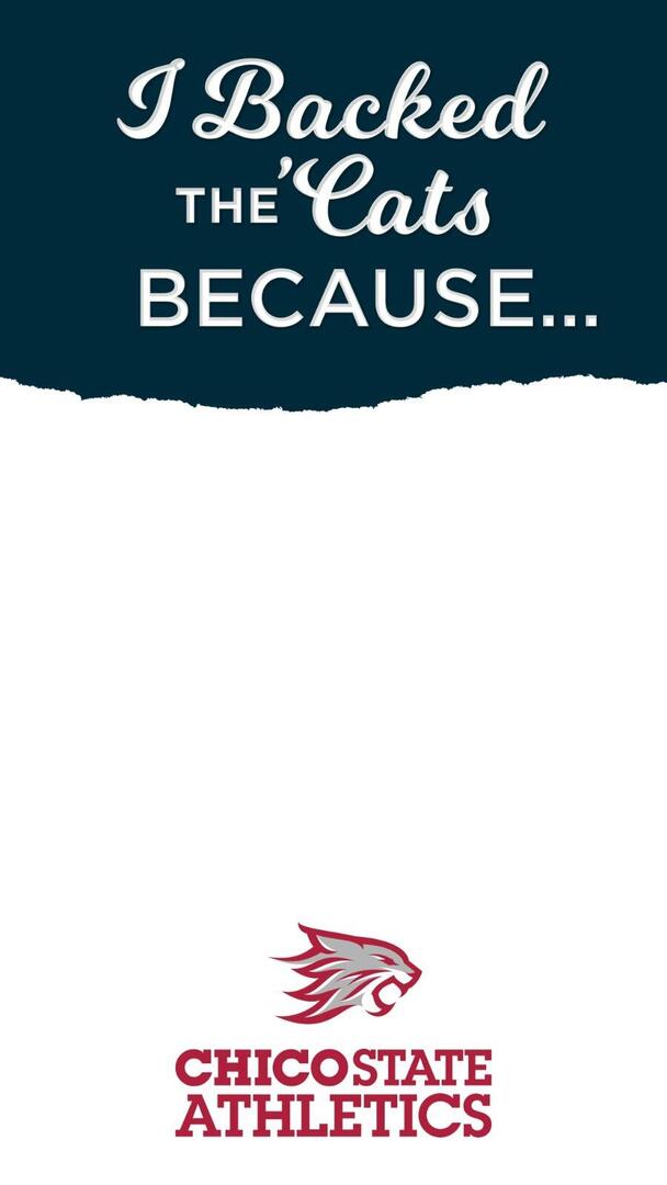 Instagram Story Template