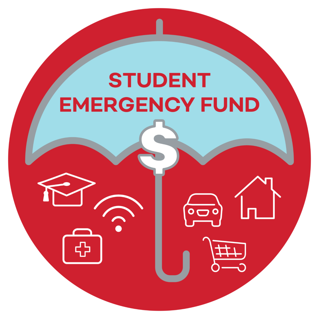 Illustration of umbrella with dollar sign