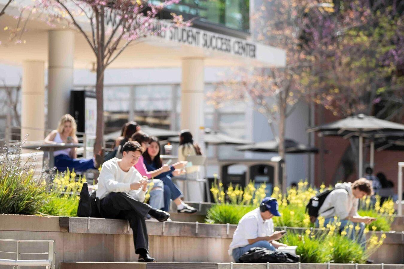 President's Scholarships