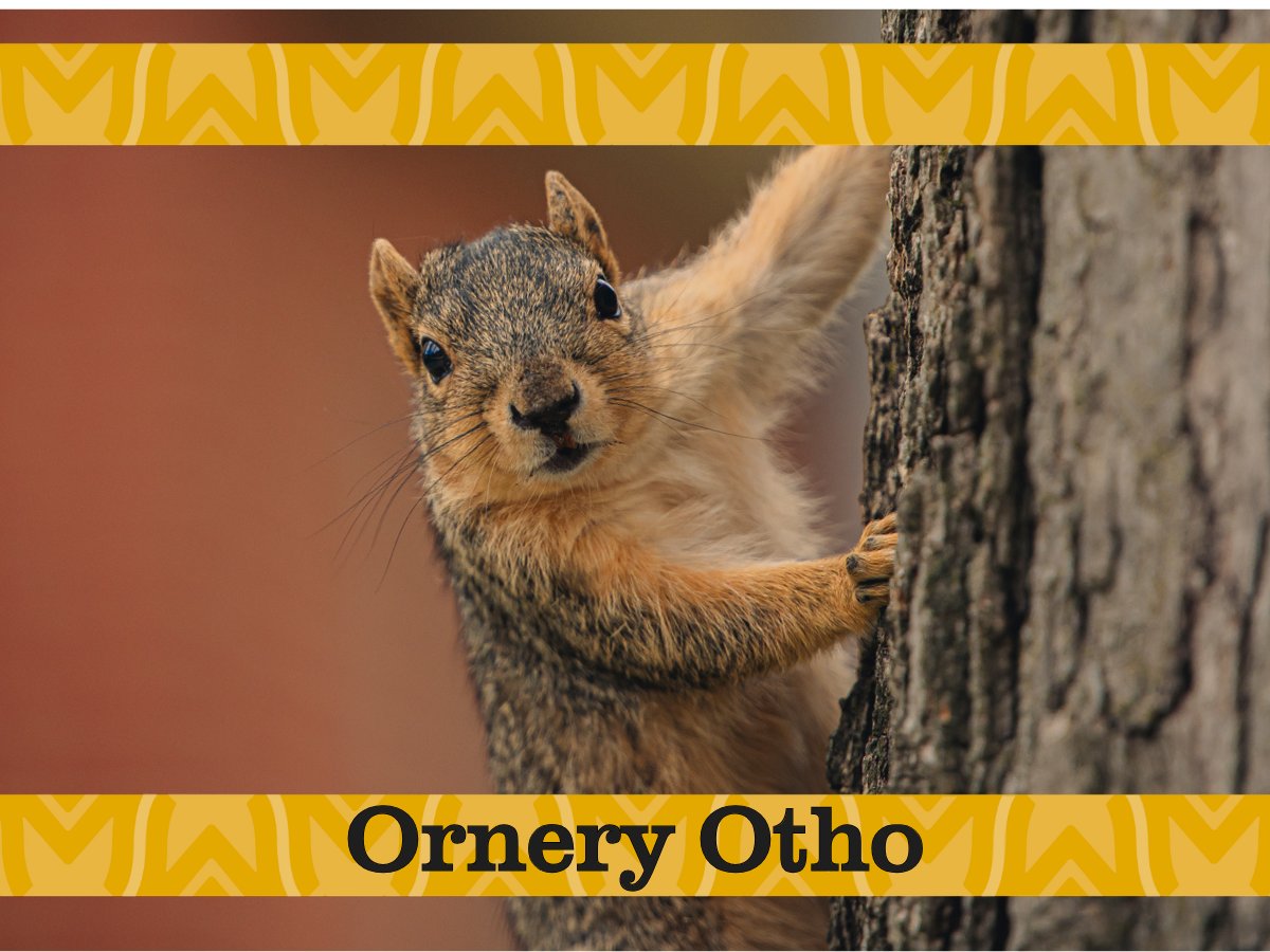 Ornery Otho the squirrel