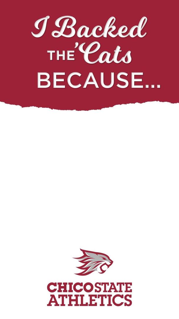Instagram Story Template