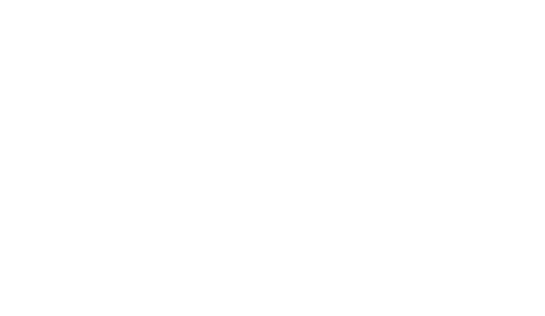 Albert Einstein Medical College Reunion Logo